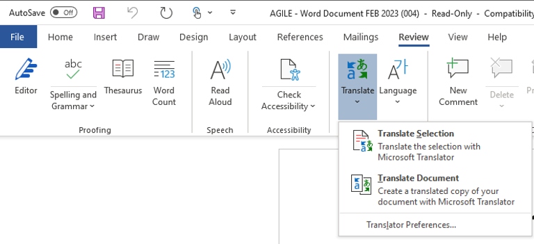 Instructions for how to translate a Word document